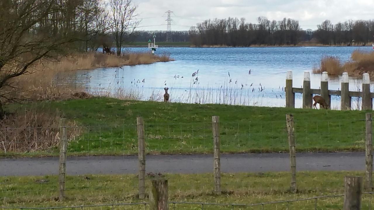 Hotel De Brabantse Biesbosch à Werkendam Extérieur photo