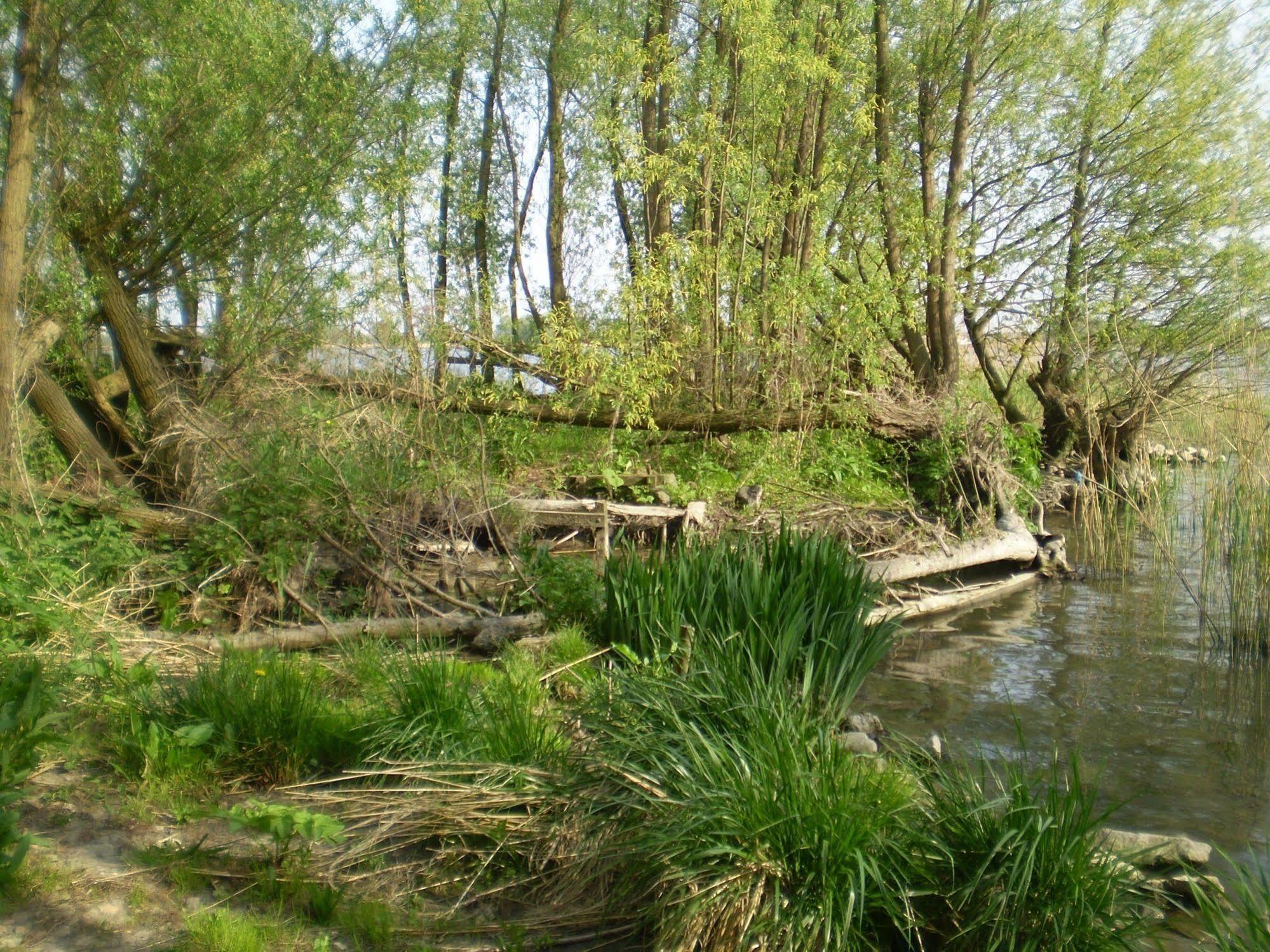 Hotel De Brabantse Biesbosch à Werkendam Extérieur photo